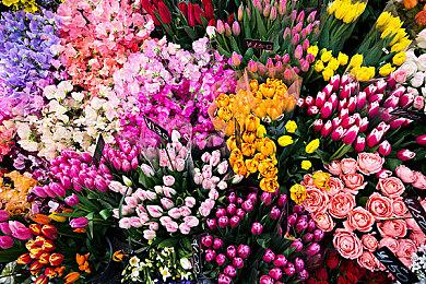 太帅了！《艾尔登法环》玩家自制《只狼》苇名一心Mod